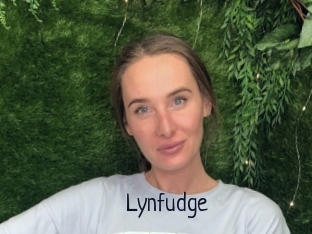 Lynfudge