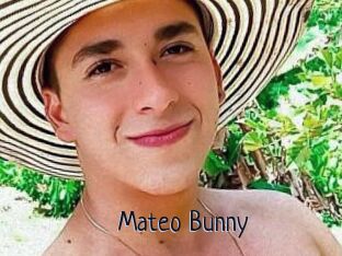Mateo_Bunny