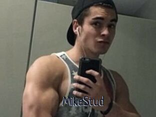 MikeStud