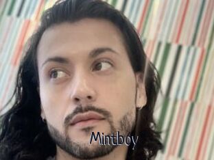Mintboy