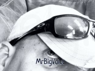 MrBigVoice