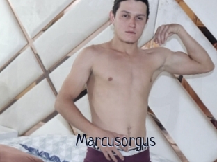 Marcusorgus