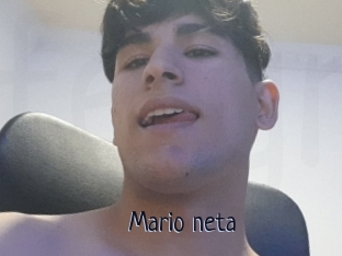 Mario_neta