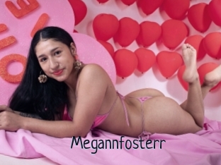 Megannfosterr