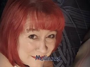 Mollimausi