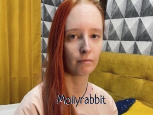 Mollyrabbit