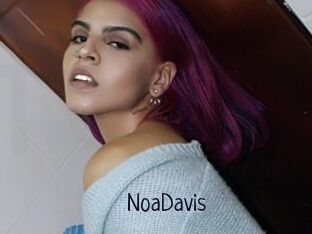 NoaDavis