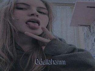 Odellahamm