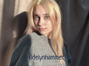 Odelynhammett