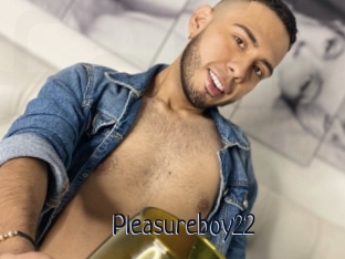 Pleasureboy22