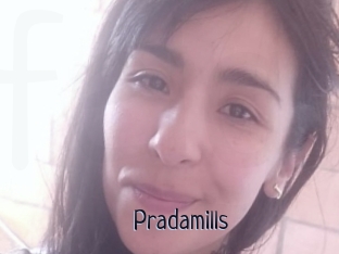 Pradamills