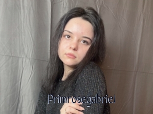 Primrosegabriel