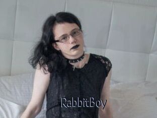 RabbitBoy