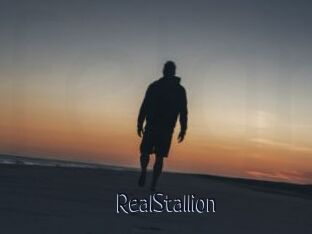 RealStallion