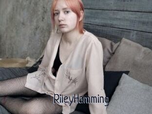 RileyHamming