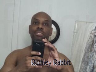 Rodney_Rabbit