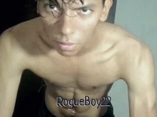 RogueBoy22