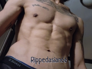 Rippedasian66