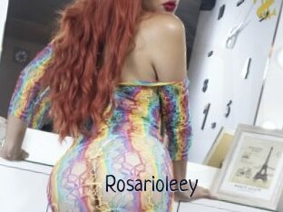 Rosarioleey