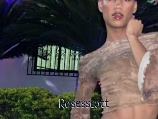 Rosesscott