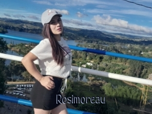 Rosimoreau