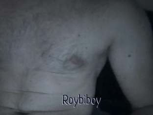 Roybiboy