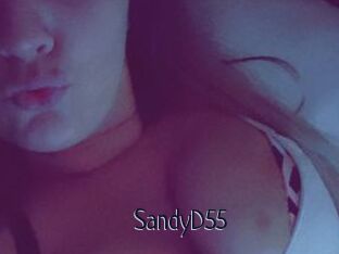 SandyD55