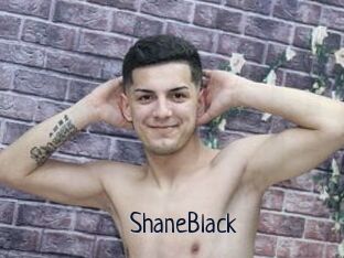 ShaneBlack