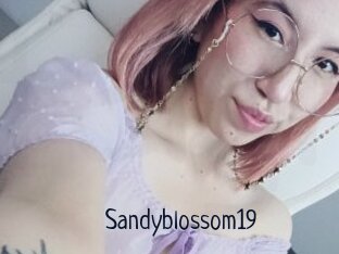 Sandyblossom19