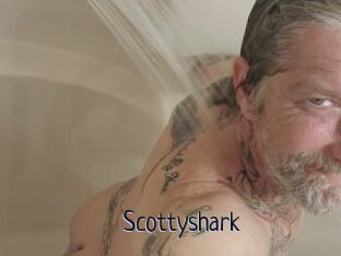 Scottyshark