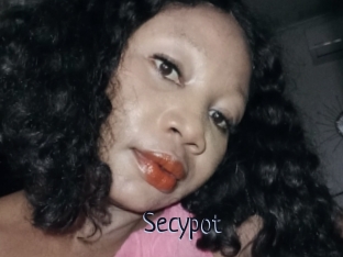 Secypot