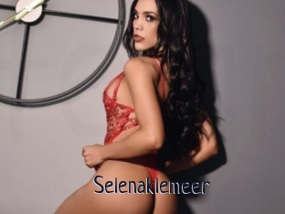 Selenaklemeer