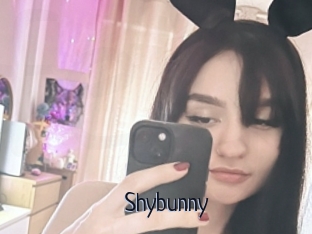 Shybunny