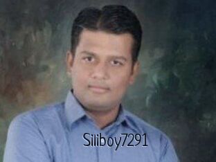 Siliboy7291