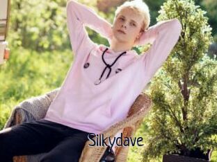 Silkydave