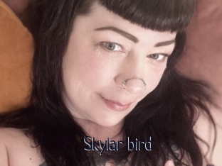 Skylar_bird