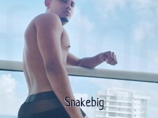 Snakebig