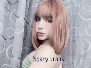 Soary_trans