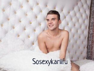 Sosexykarllfu