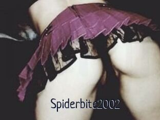 Spiderbite2002