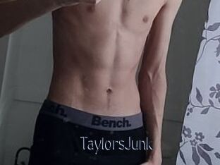 TaylorsJunk