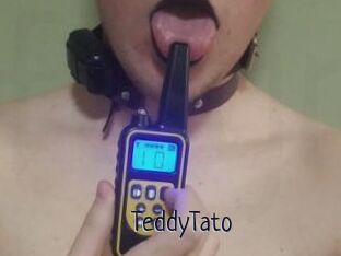 TeddyTato