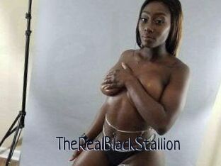 TheRealBlackStallion