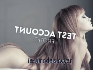 Testmodelsawyer