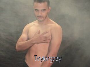 Teylorgrey