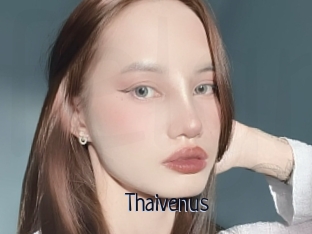 Thaivenus