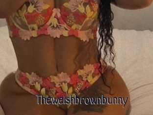 Thewelshbrownbunny