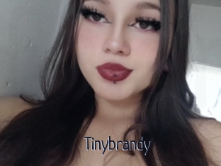 Tinybrandy