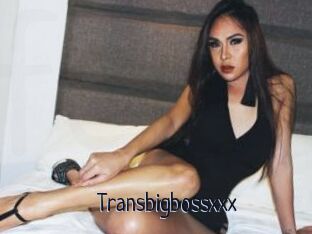 Transbigbossxxx