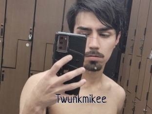 Twunkmikee